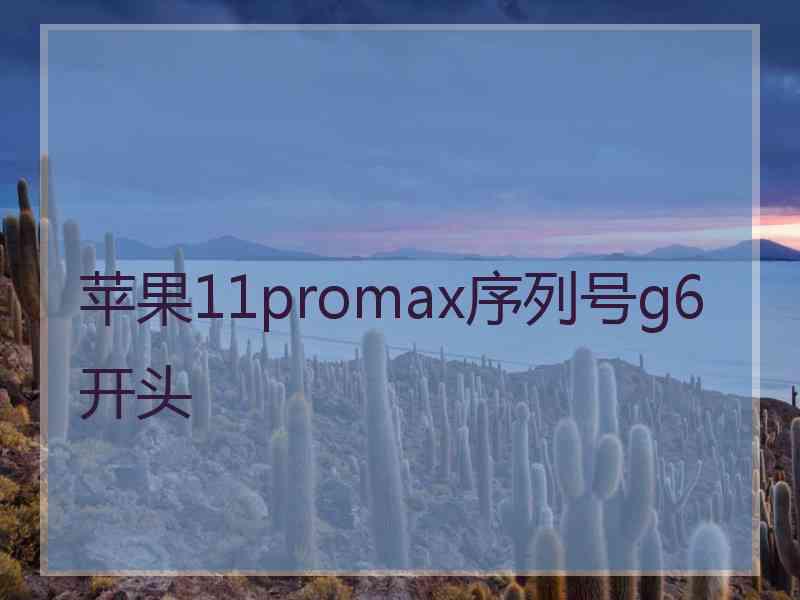 苹果11promax序列号g6开头