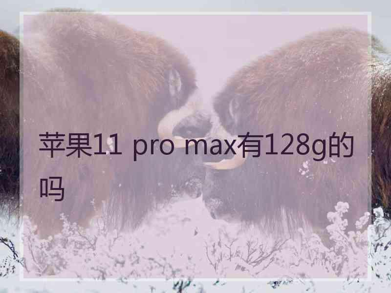 苹果11 pro max有128g的吗