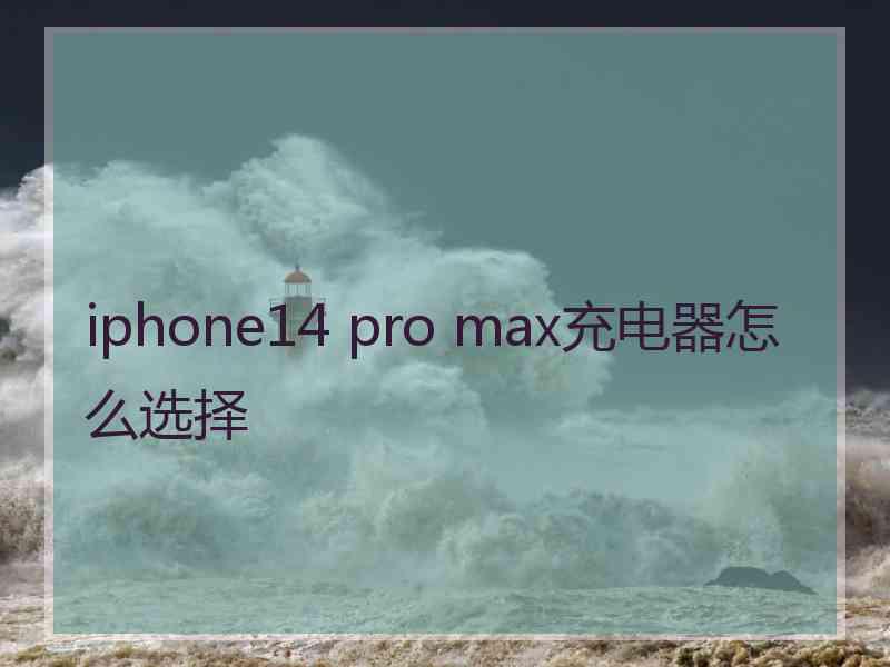 iphone14 pro max充电器怎么选择