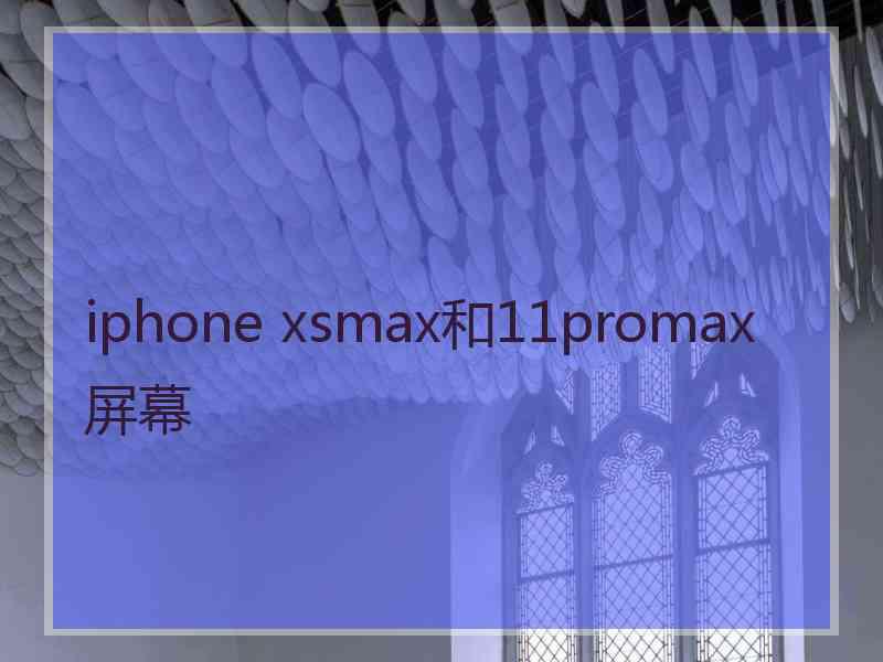 iphone xsmax和11promax屏幕