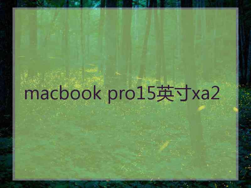 macbook pro15英寸xa2