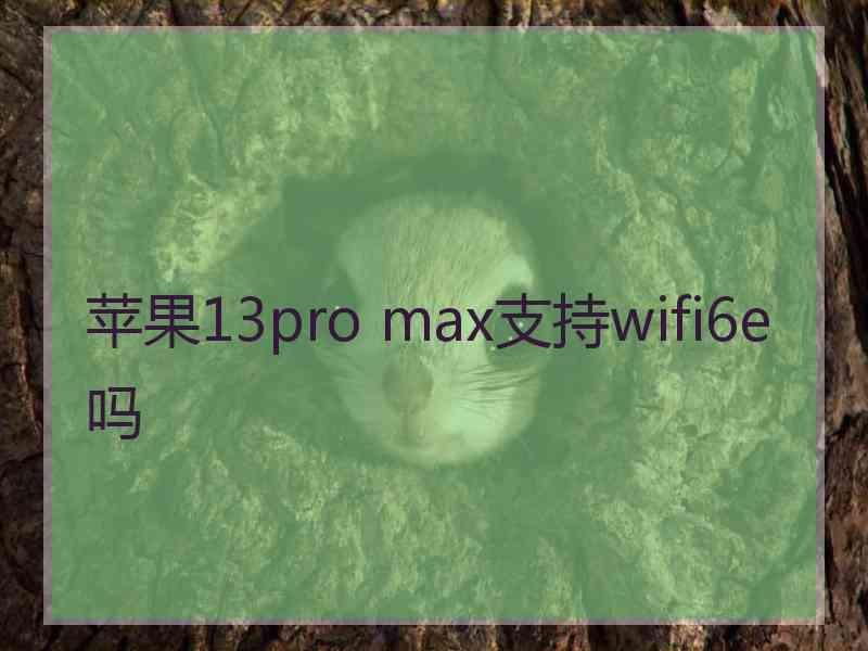 苹果13pro max支持wifi6e吗