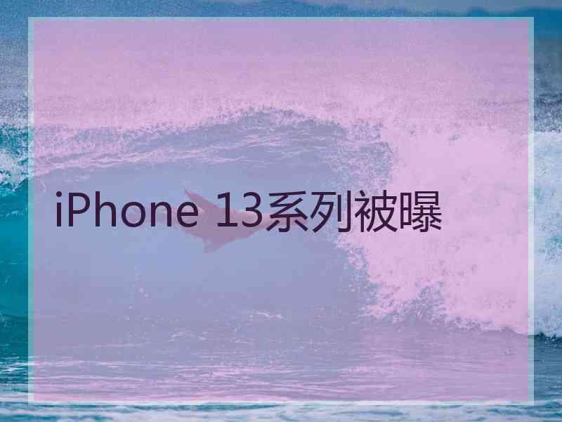 iPhone 13系列被曝