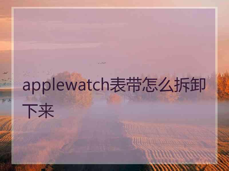 applewatch表带怎么拆卸下来