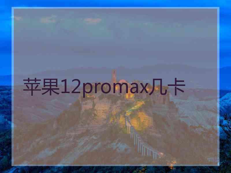 苹果12promax几卡