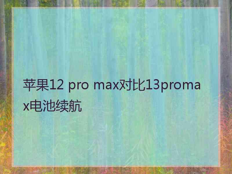 苹果12 pro max对比13promax电池续航