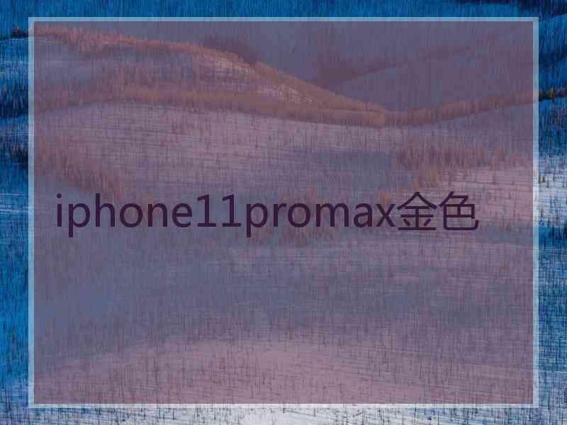 iphone11promax金色