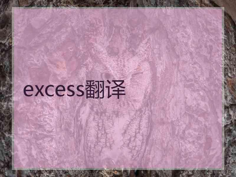 excess翻译