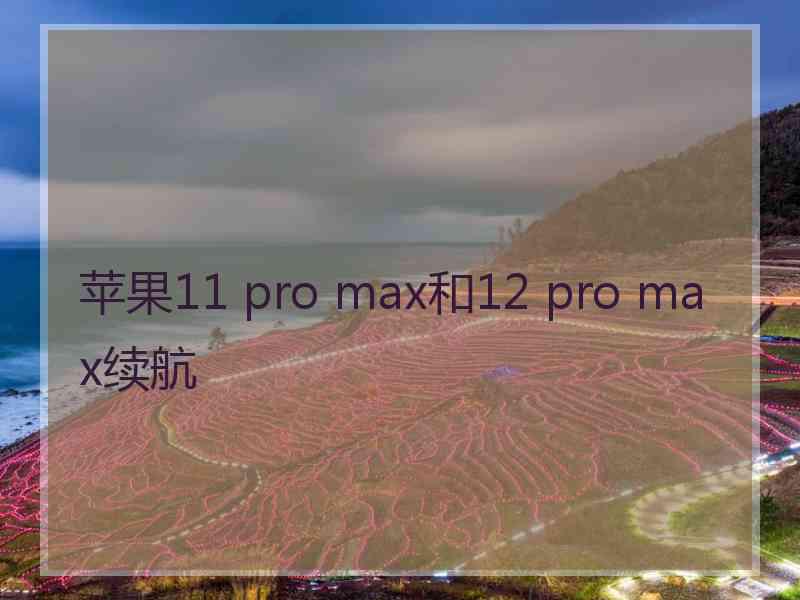 苹果11 pro max和12 pro max续航