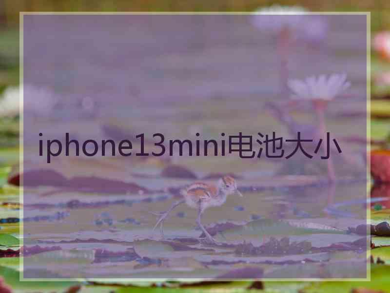 iphone13mini电池大小