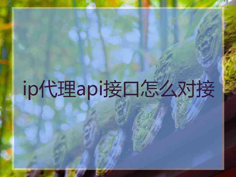 ip代理api接口怎么对接