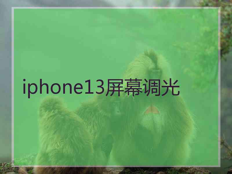 iphone13屏幕调光