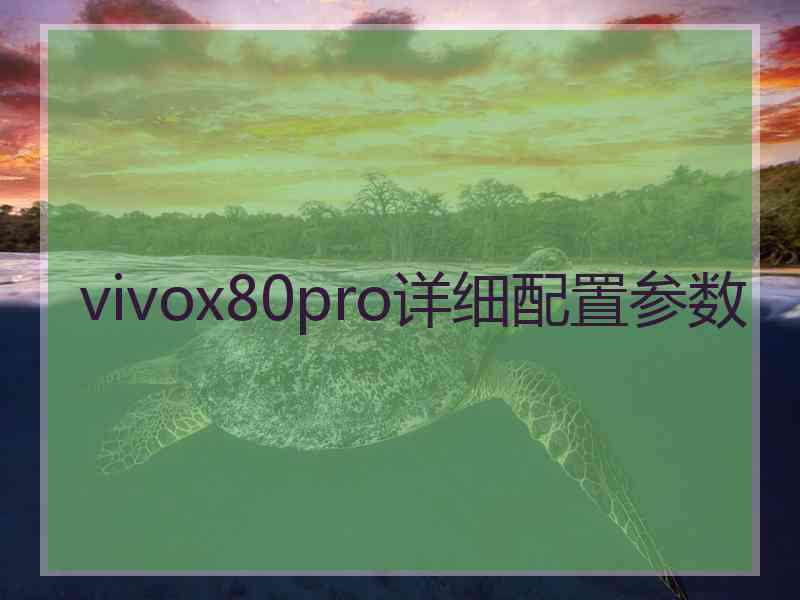 vivox80pro详细配置参数