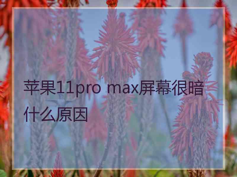 苹果11pro max屏幕很暗什么原因