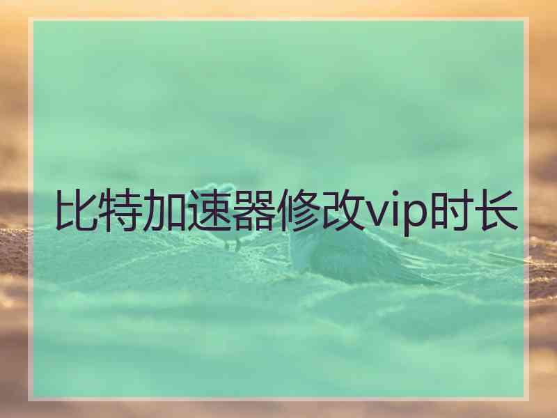 比特加速器修改vip时长