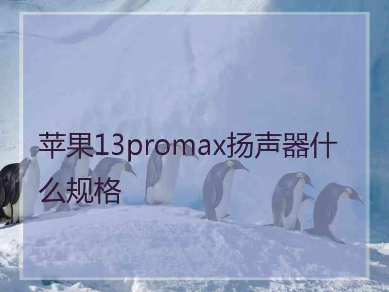 苹果13promax扬声器什么规格