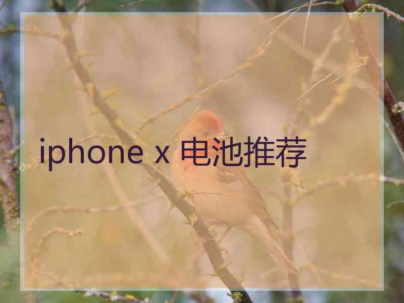 iphone x 电池推荐