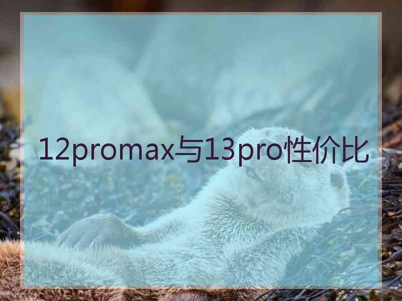 12promax与13pro性价比