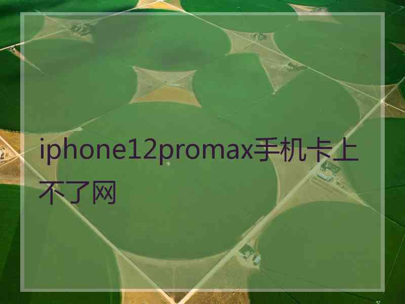 iphone12promax手机卡上不了网