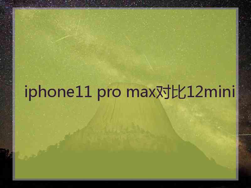 iphone11 pro max对比12mini