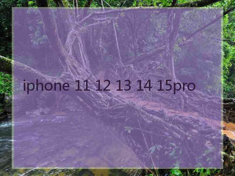 iphone 11 12 13 14 15pro