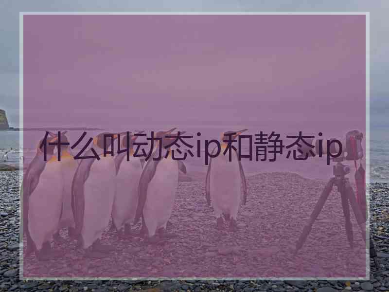 什么叫动态ip和静态ip