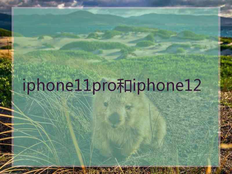 iphone11pro和iphone12