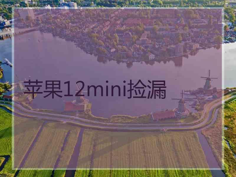 苹果12mini捡漏