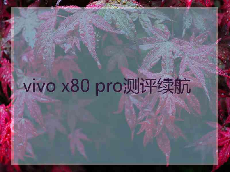 vivo x80 pro测评续航