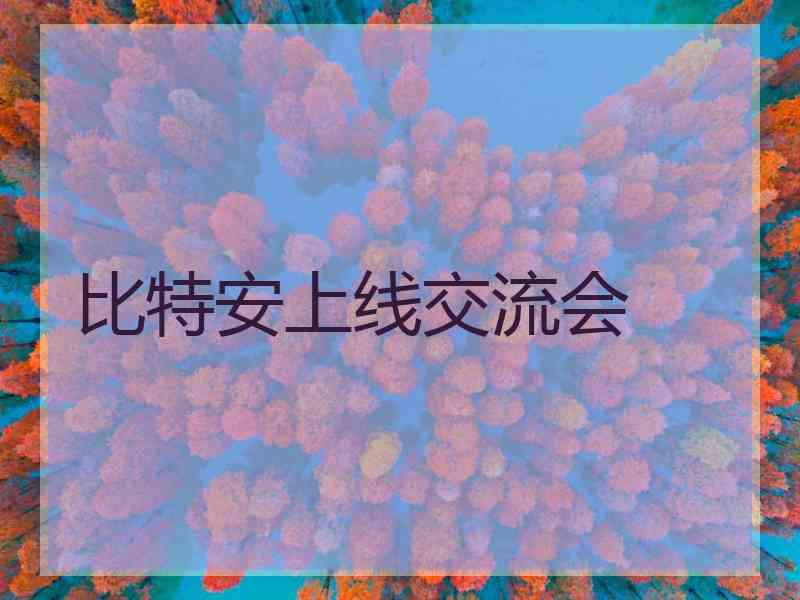 比特安上线交流会