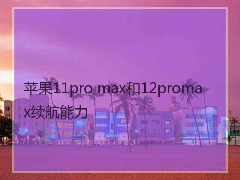 苹果11pro max和12promax续航能力