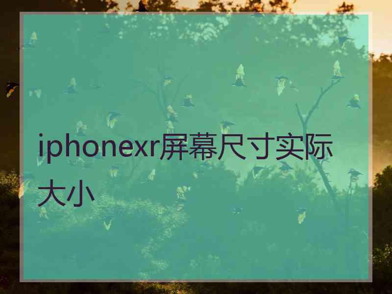 iphonexr屏幕尺寸实际大小