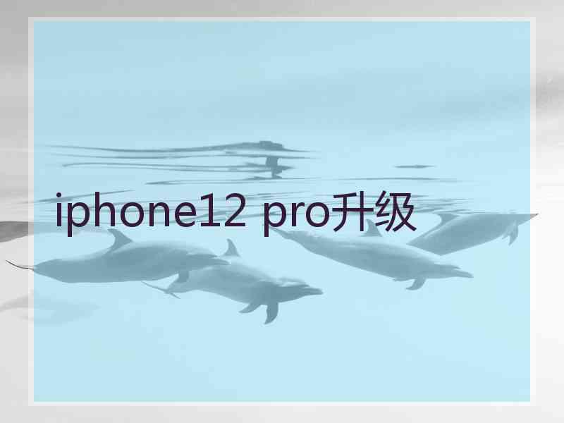 iphone12 pro升级