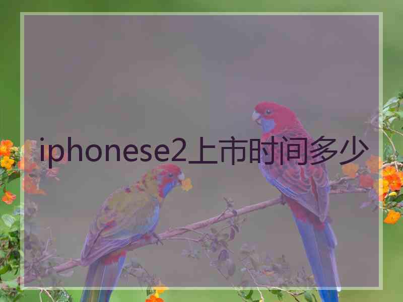 iphonese2上市时间多少