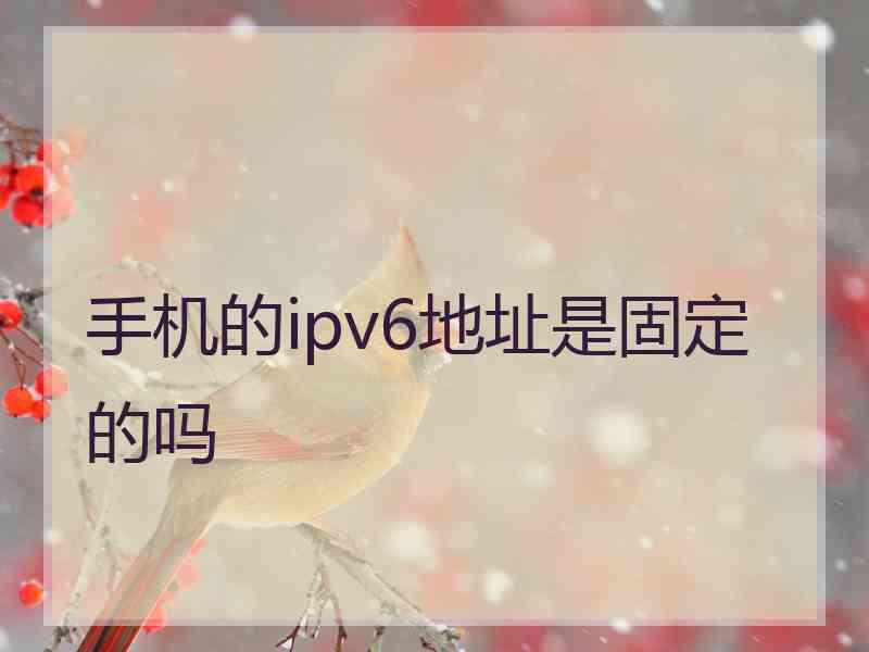 手机的ipv6地址是固定的吗