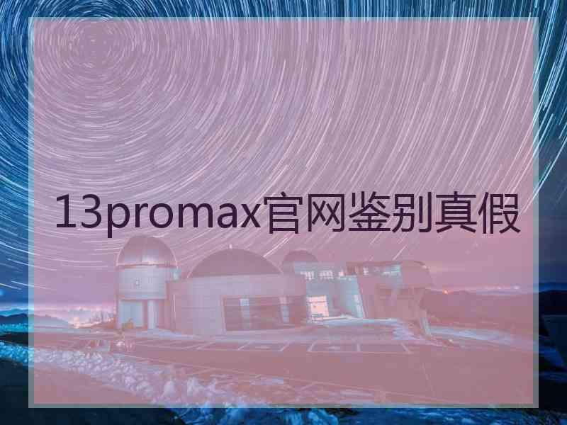 13promax官网鉴别真假