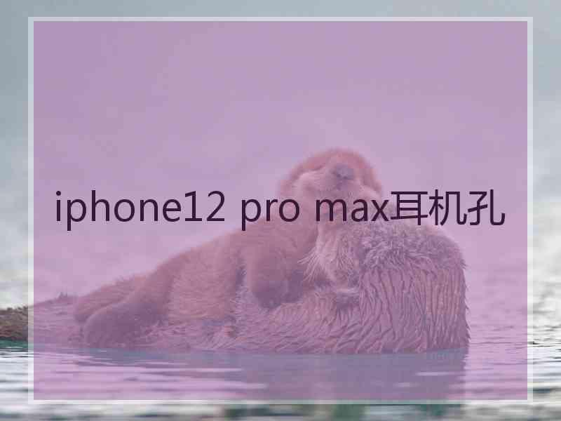 iphone12 pro max耳机孔