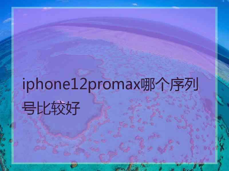 iphone12promax哪个序列号比较好