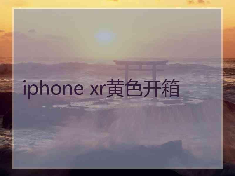 iphone xr黄色开箱