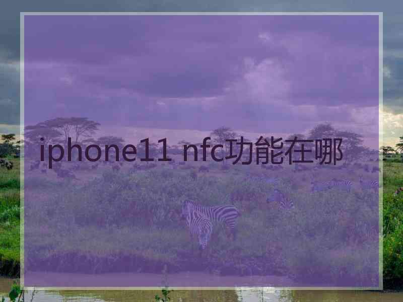 iphone11 nfc功能在哪