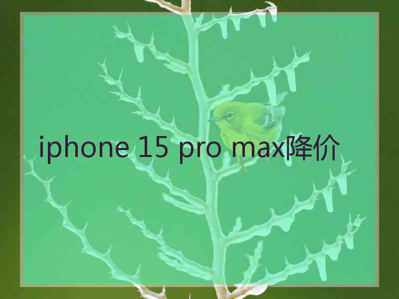 iphone 15 pro max降价