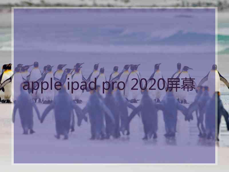 apple ipad pro 2020屏幕