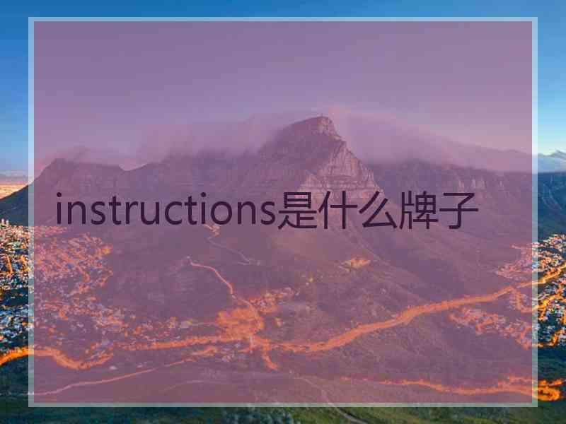 instructions是什么牌子