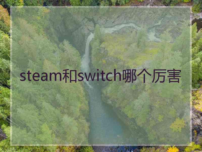 steam和switch哪个厉害