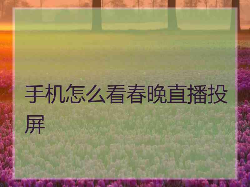 手机怎么看春晚直播投屏