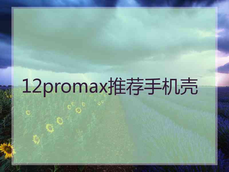 12promax推荐手机壳