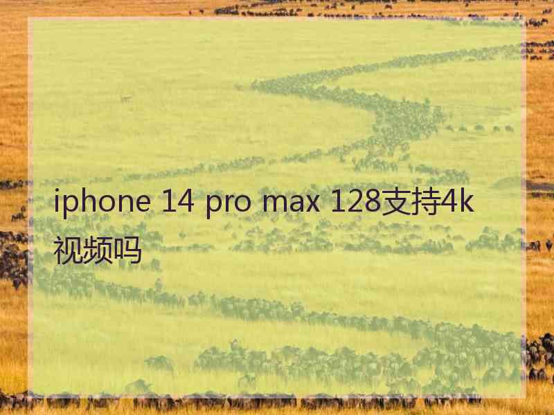 iphone 14 pro max 128支持4k视频吗