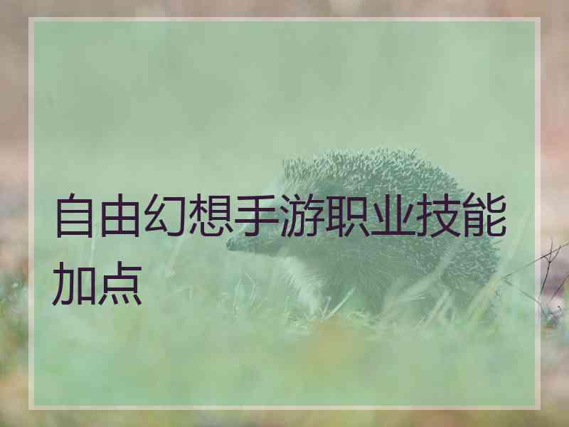 自由幻想手游职业技能加点