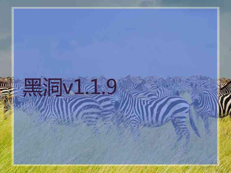 黑洞v1.1.9