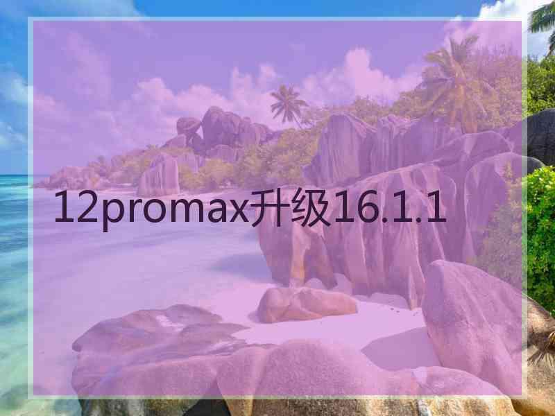 12promax升级16.1.1